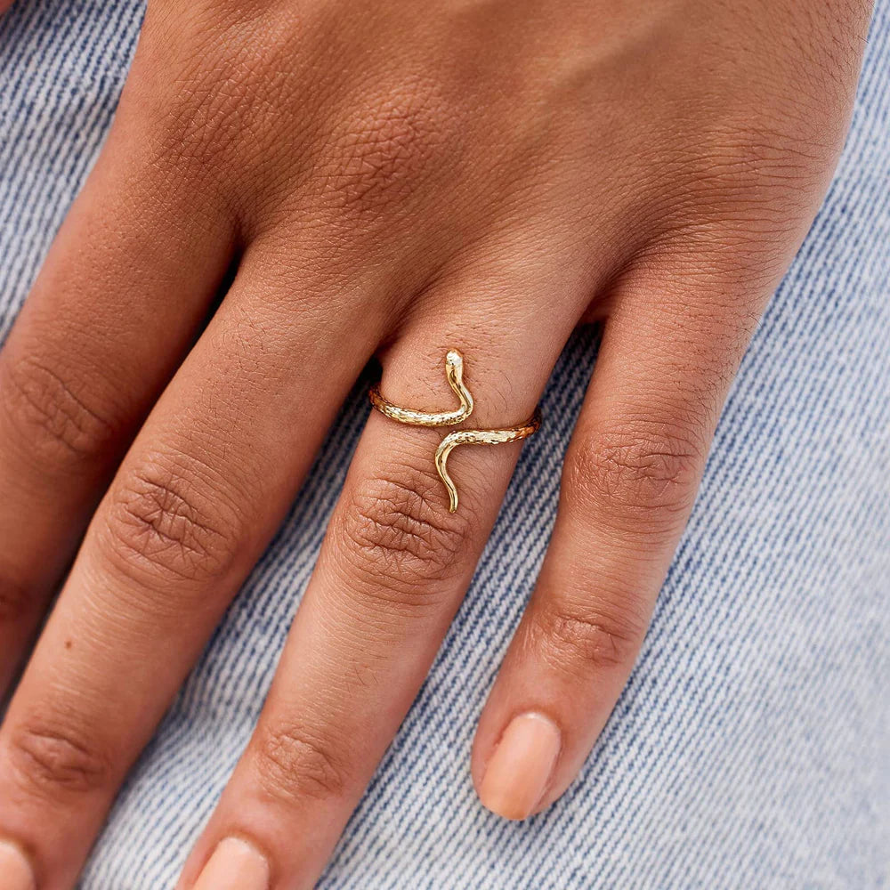 Pura Vida Snake Ring